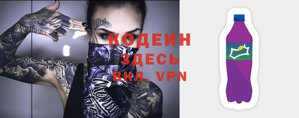 хмурый Горняк