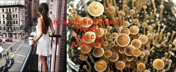 apvp Горно-Алтайск