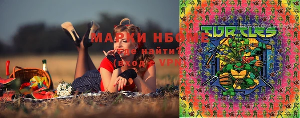 хмурый Горняк