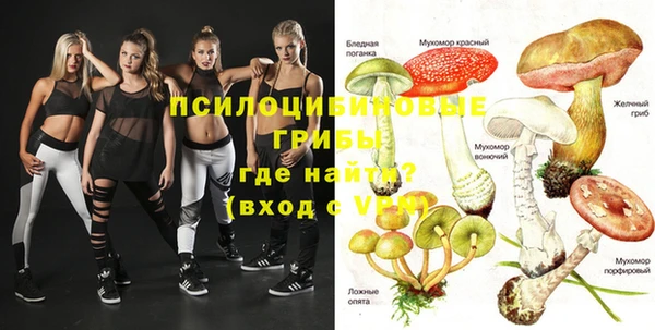 apvp Горно-Алтайск