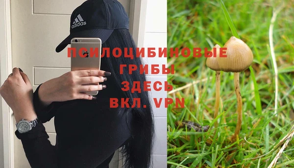 ECSTASY Вязники