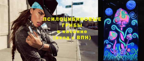 хмурый Горняк