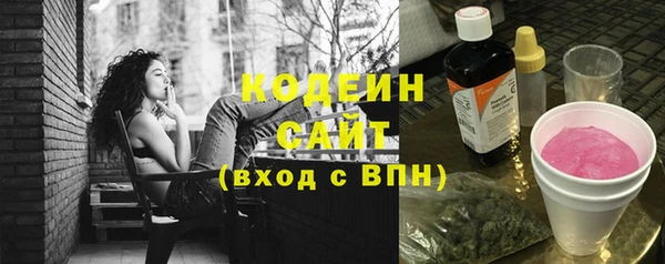 хмурый Горняк
