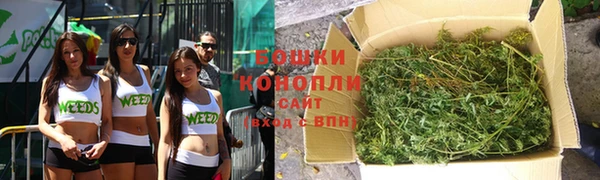 хмурый Горняк