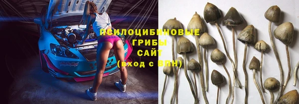 ешки Горнозаводск